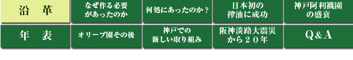 神戸オリーブ園の歴史