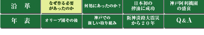 神戸オリーブ園の歴史