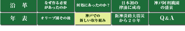神戸オリーブ園の歴史